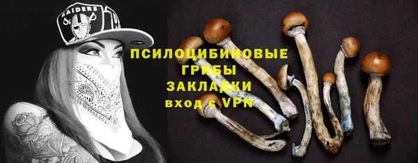 первитин Алексин