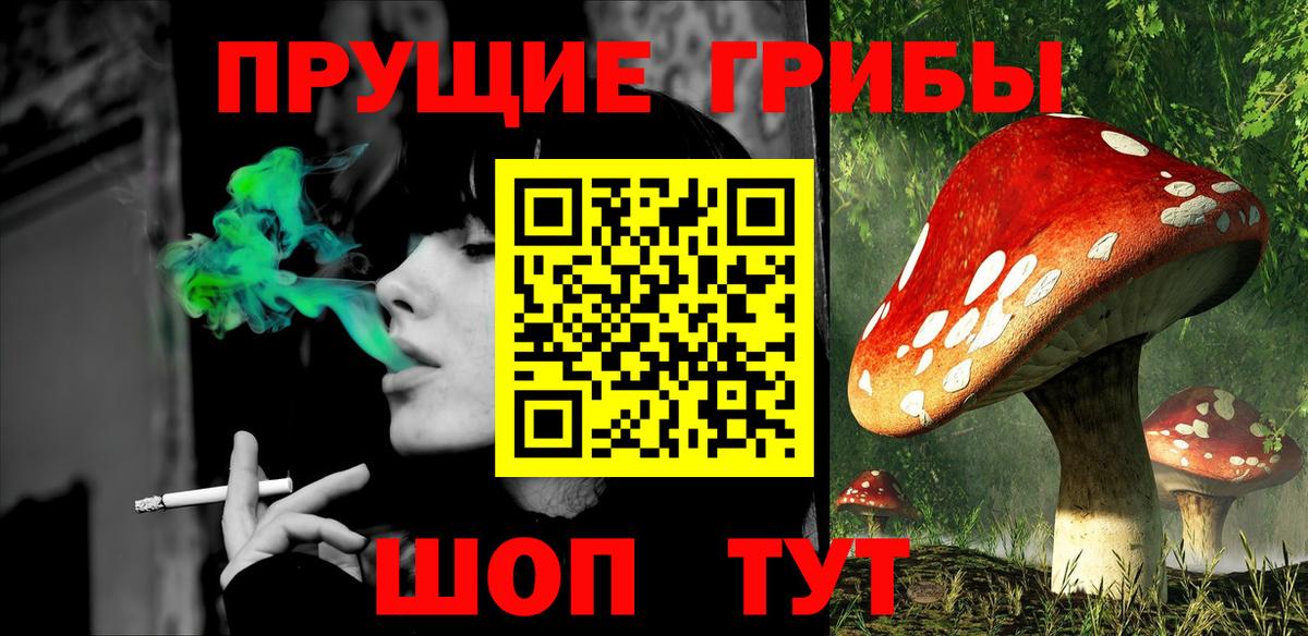 Галлюциногенные грибы GOLDEN TEACHER  Псилоцибиновые грибы мицелий  Вход с VPN  Калининград 