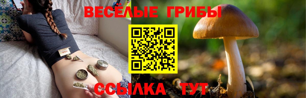 Галлюциногенные грибы Magic Shrooms Калининград